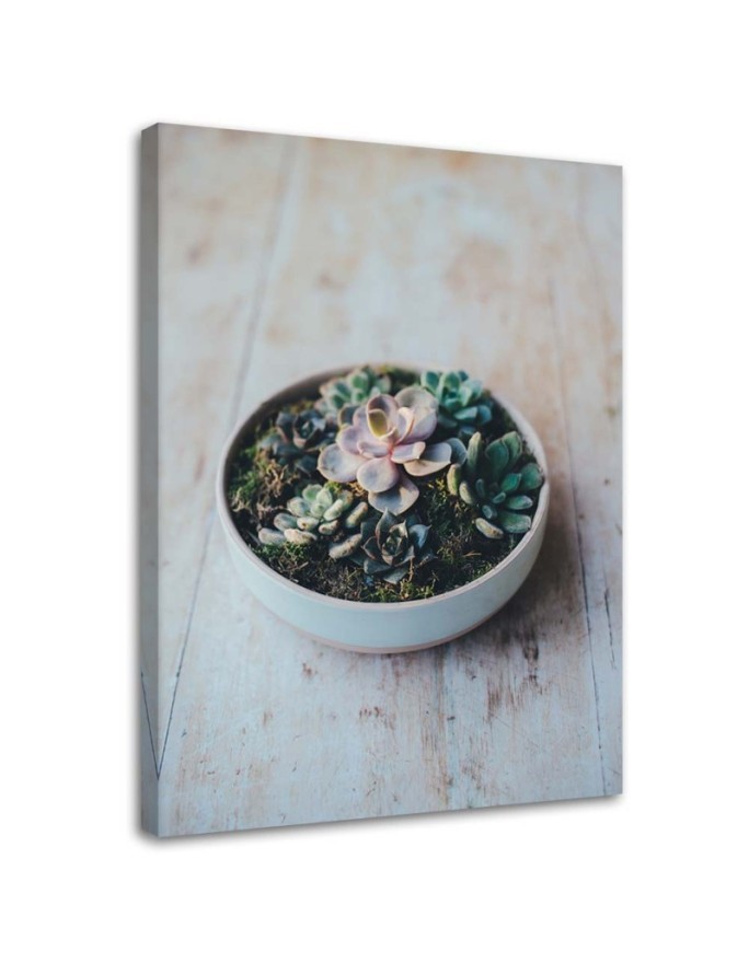 Leinwandbild modern - Pflanzen im Topf | Feeby