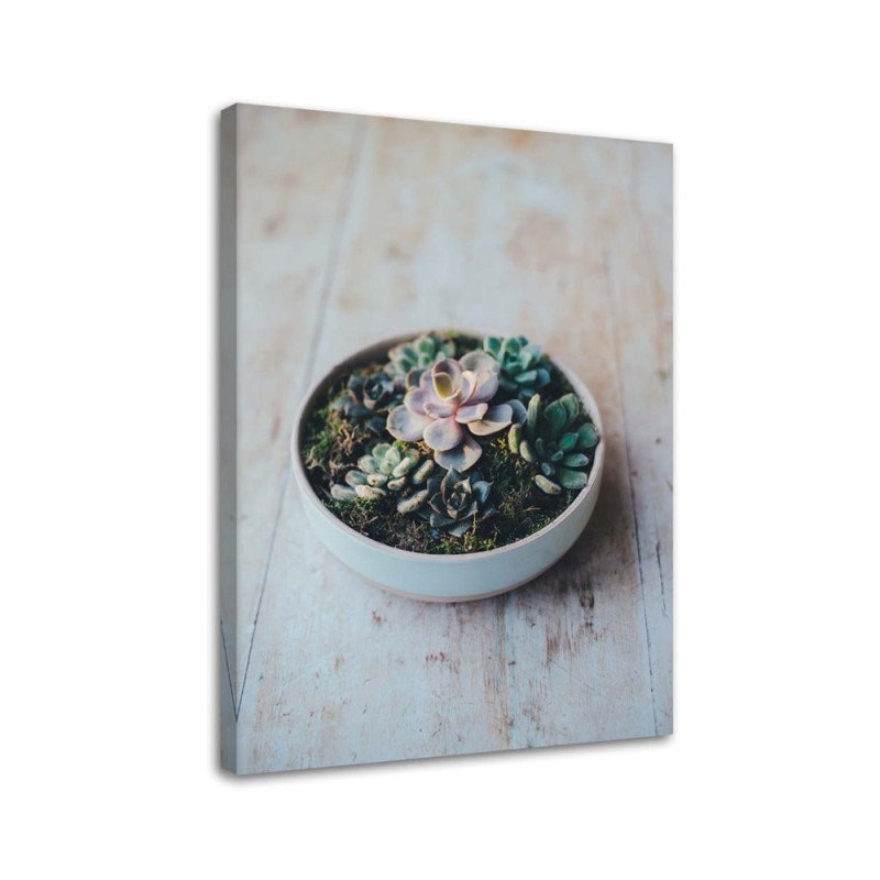 Leinwandbild modern - Pflanzen im Topf | Feeby
