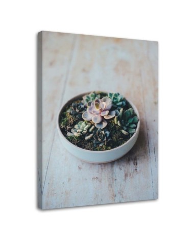 Decorative painting for the kitchen - Plants in a pot | FEEBY