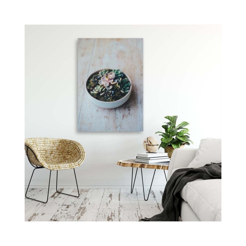 Leinwandbild modern - Pflanzen im Topf | Feeby