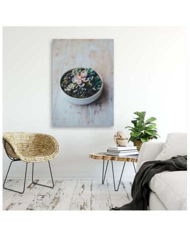 Leinwandbild modern - Pflanzen im Topf | Feeby