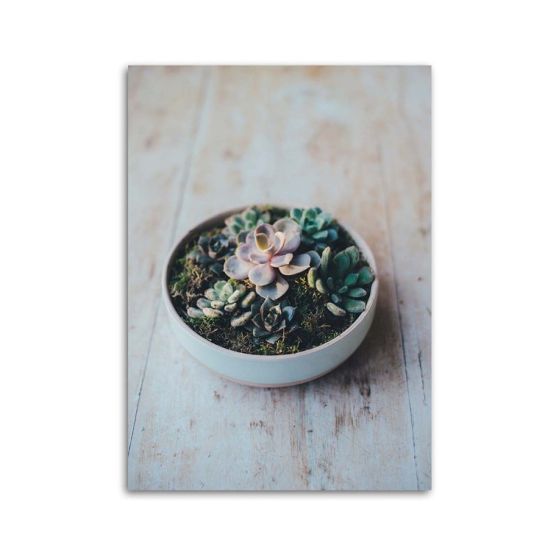 Leinwandbild modern - Pflanzen im Topf | Feeby