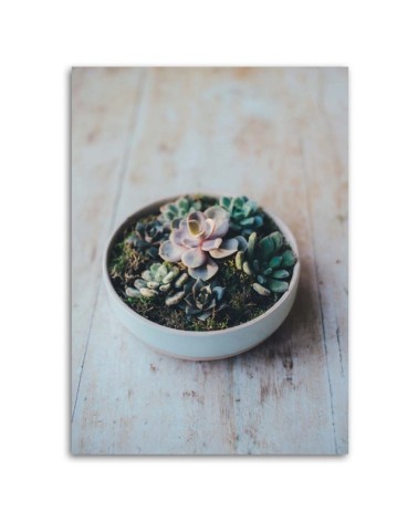 Leinwandbild modern - Pflanzen im Topf | Feeby