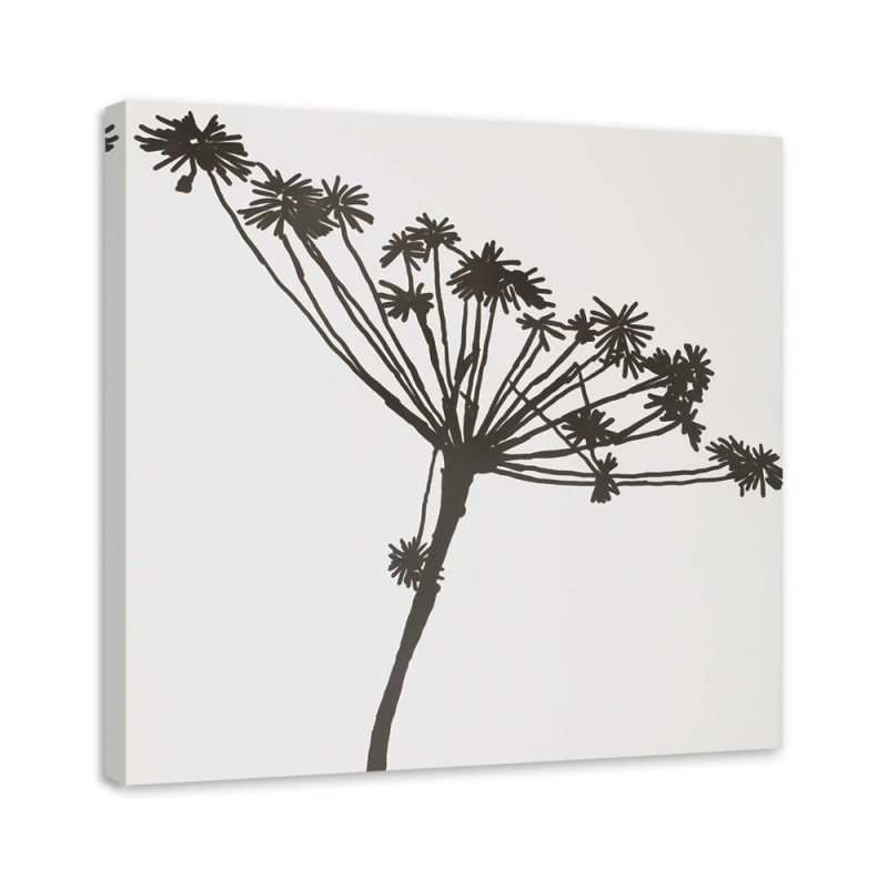 Leinwanddruck - Schwarzer Schatten des Cyperus | Feeby