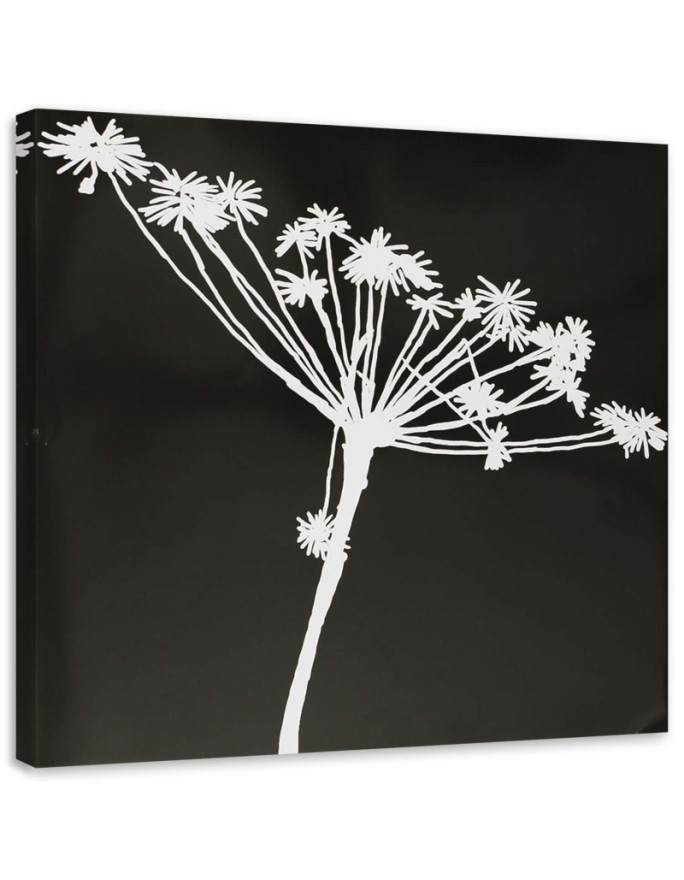 Leinwandbild - Weißer Schatten eines Cyperus | Feeby