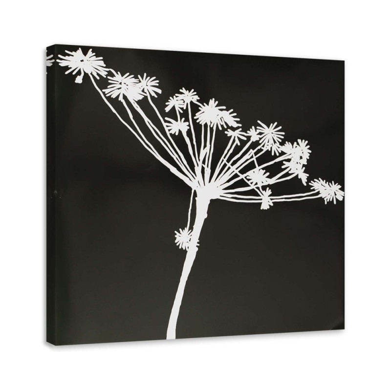 Leinwandbild - Weißer Schatten eines Cyperus | Feeby