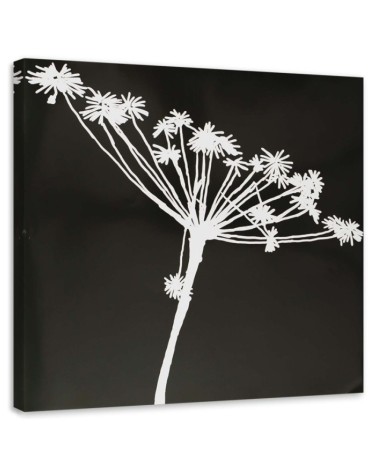 Leinwandbild - Weißer Schatten eines Cyperus | Feeby