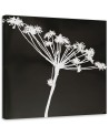 Modern wall art painting - White shadow of Cyperus | FEEBY