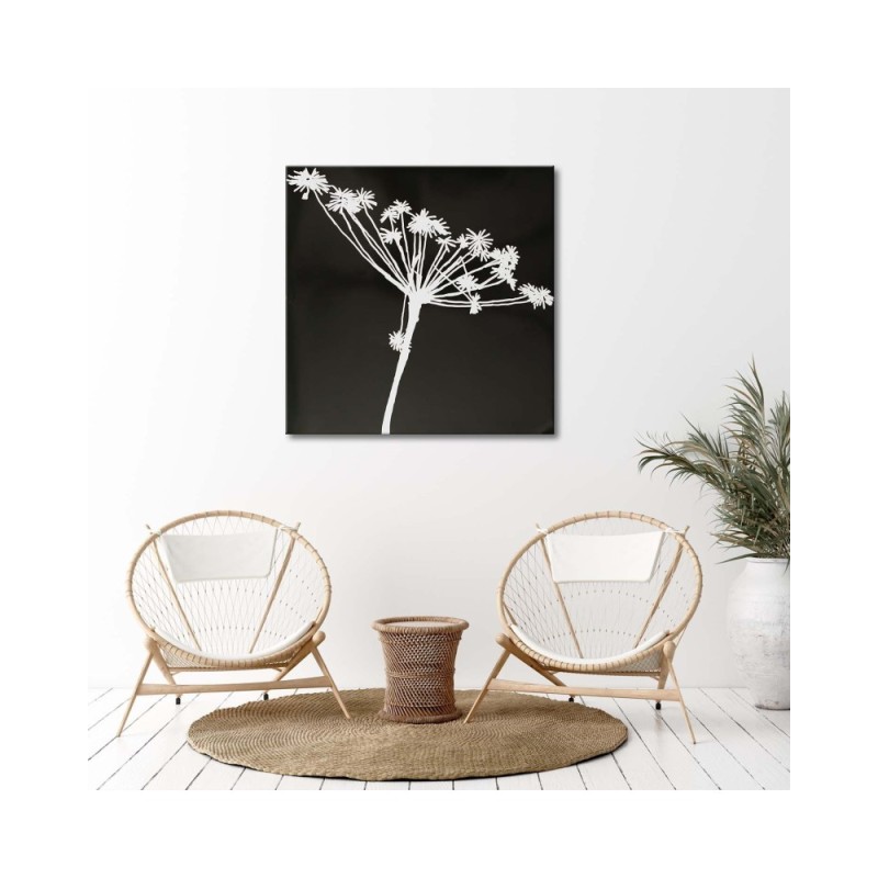 Leinwandbild - Weißer Schatten eines Cyperus | Feeby