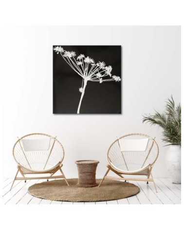 Leinwandbild - Weißer Schatten eines Cyperus | Feeby