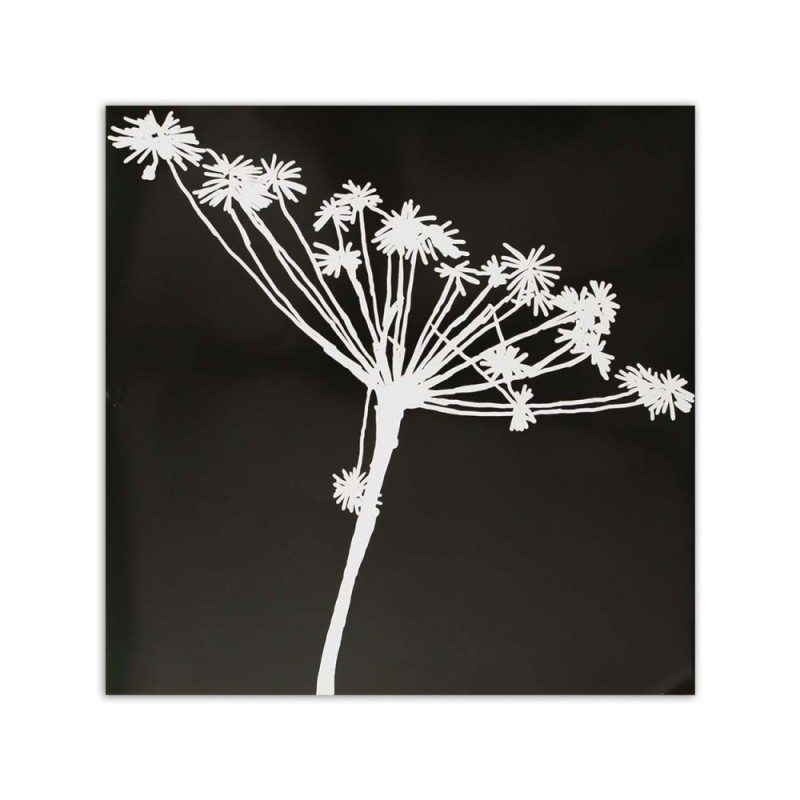 Leinwandbild - Weißer Schatten eines Cyperus | Feeby