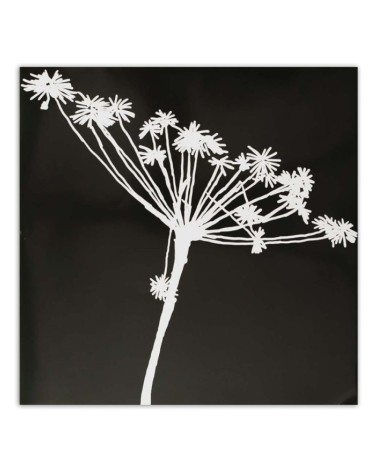 Leinwandbild - Weißer Schatten eines Cyperus | Feeby