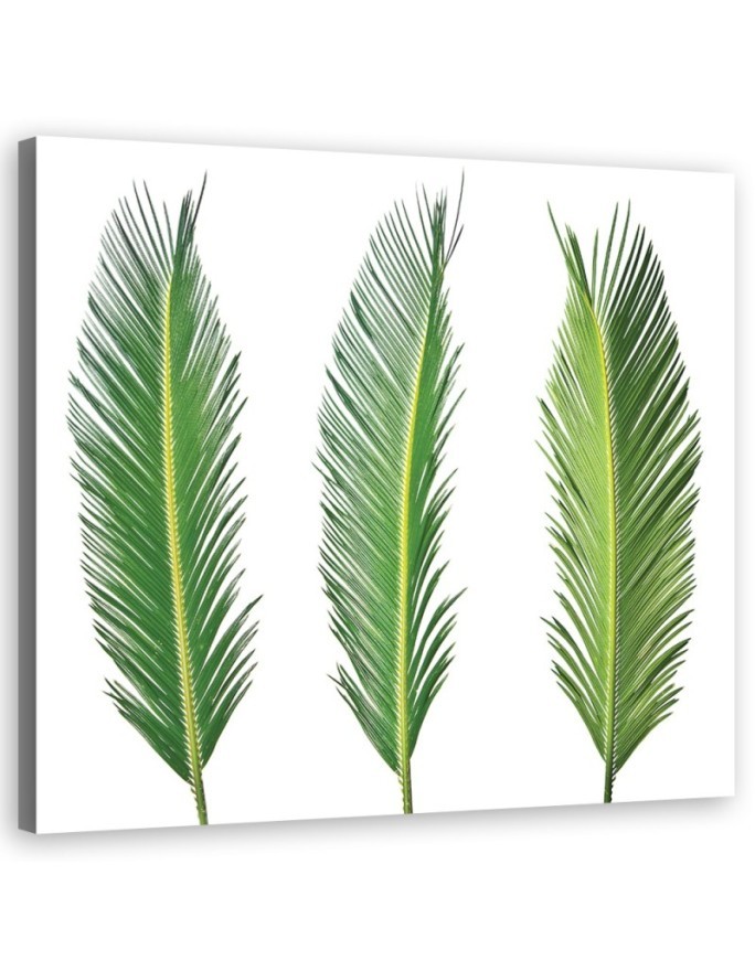 Leinwanddruck - Blumen - Grün | Feeby