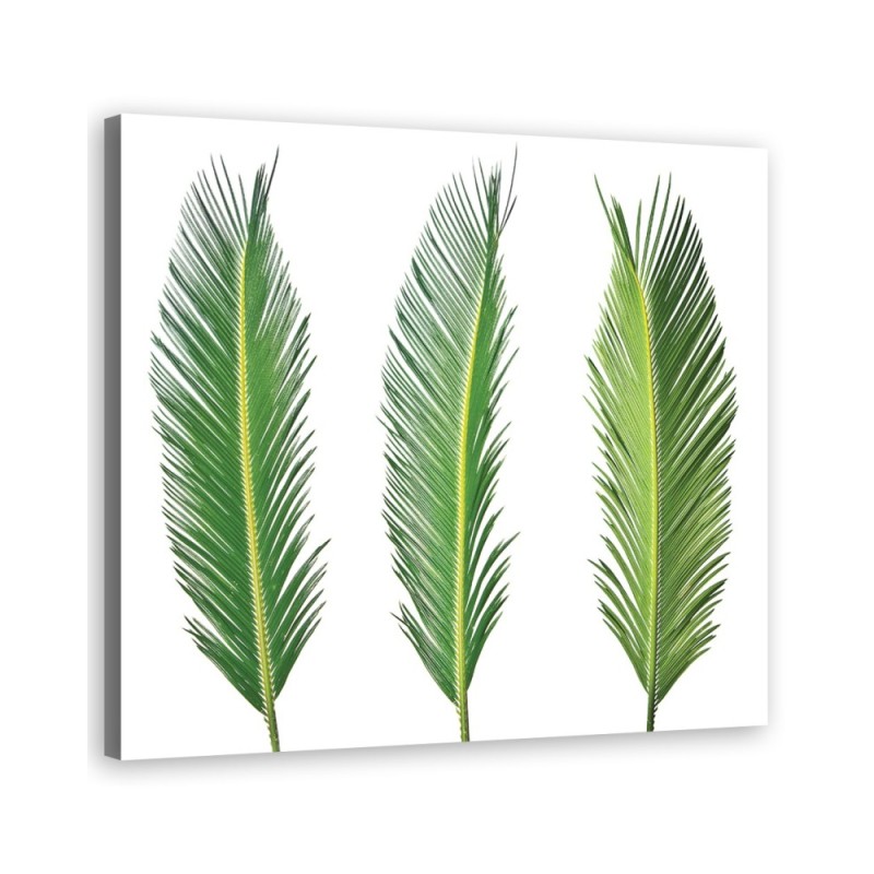 Leinwanddruck - Blumen - Grün | Feeby