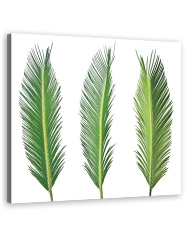 Leinwanddruck - Blumen - Grün | Feeby