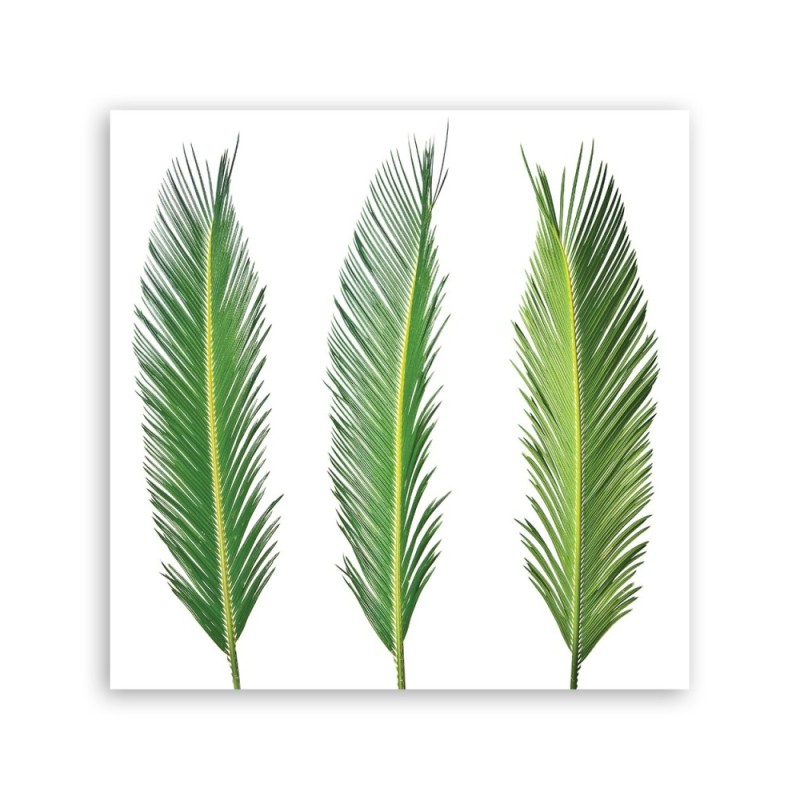 Leinwanddruck - Blumen - Grün | Feeby