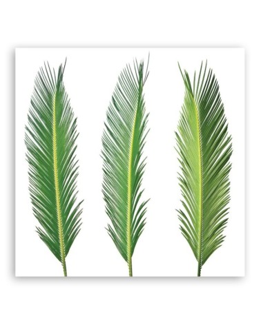 Leinwanddruck - Blumen - Grün | Feeby