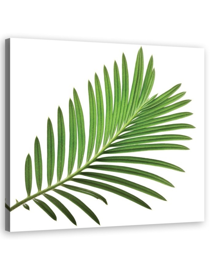 Leinwandbild - Blumen - Grün | Feeby