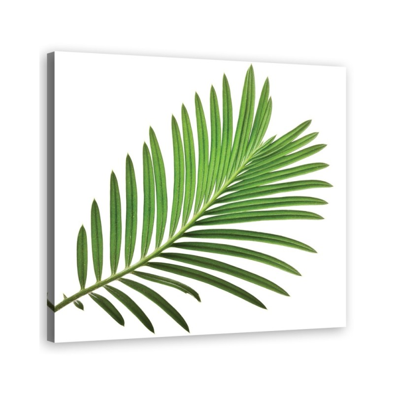 Leinwandbild - Blumen - Grün | Feeby