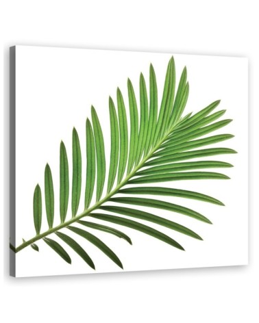 Leinwandbild - Blumen - Grün | Feeby