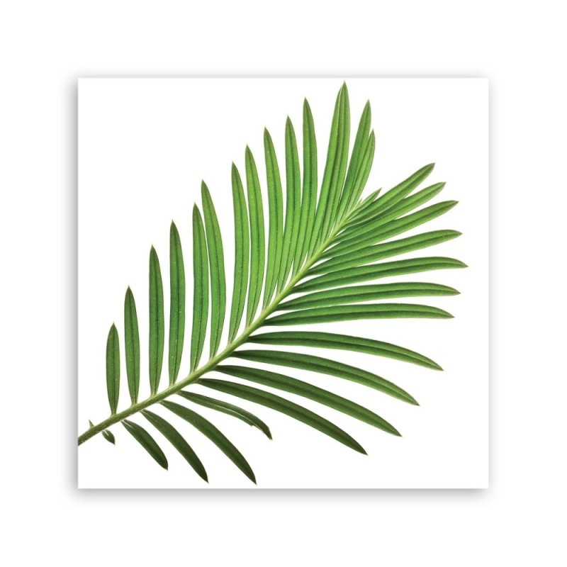 Leinwandbild - Blumen - Grün | Feeby