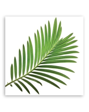 Leinwandbild - Blumen - Grün | Feeby