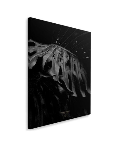 Wall art painting for living room Monstera b&w Dmitry Belov | FEEBY
