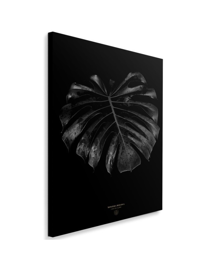 Modny obraz na ścianę - Monstera detal Dmitry Belov | FEEBY