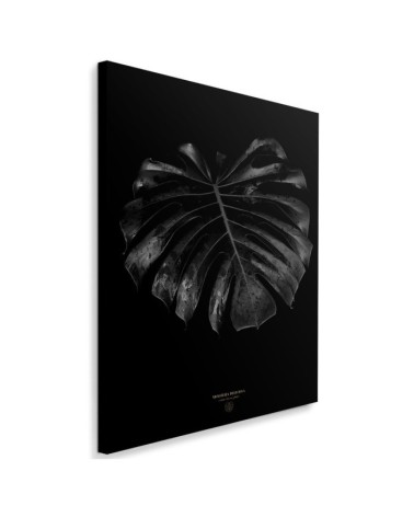 Modny obraz na ścianę - Monstera detal Dmitry Belov | FEEBY