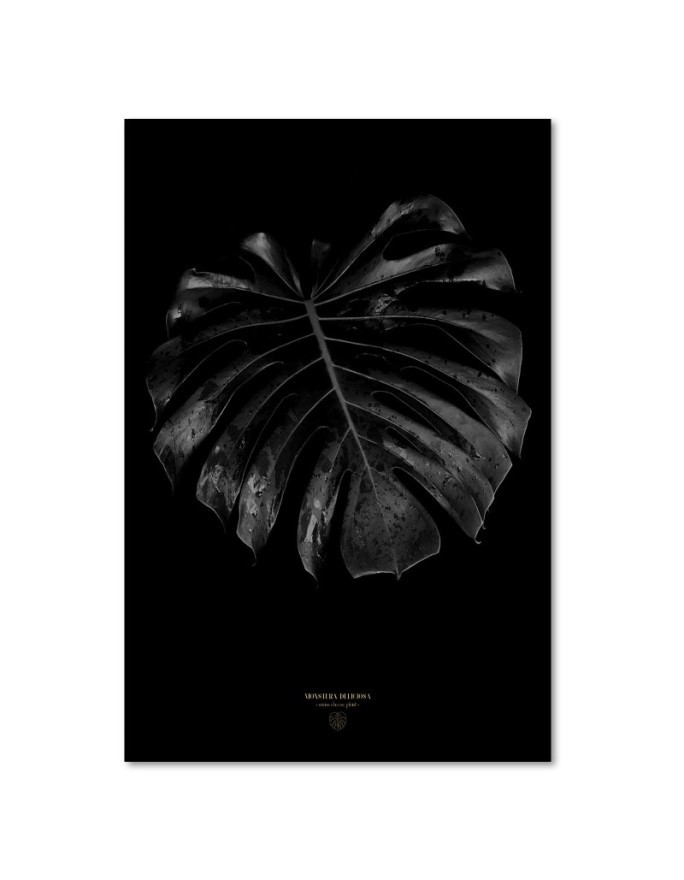 Modny obraz na ścianę - Monstera detal Dmitry Belov | FEEBY
