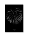Modny obraz na ścianę - Monstera detal Dmitry Belov | FEEBY
