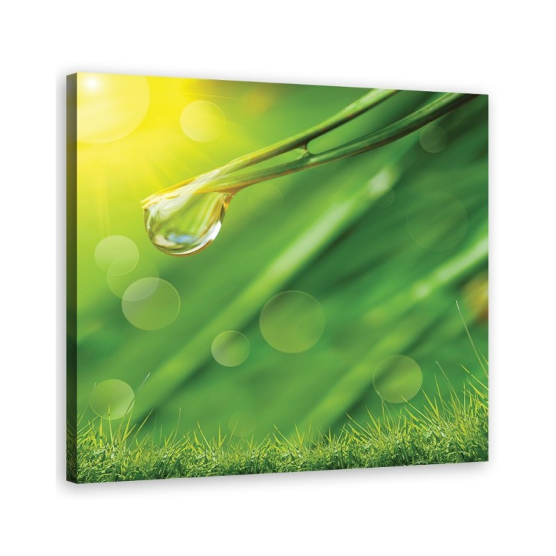 Leinwandbild - Tau auf dem Gras | Feeby