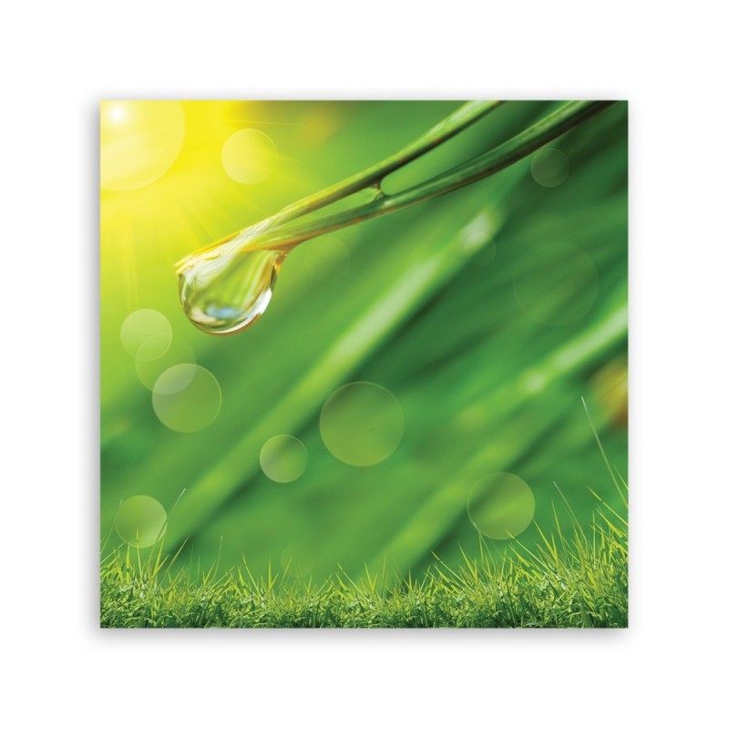 Leinwandbild - Tau auf dem Gras | Feeby