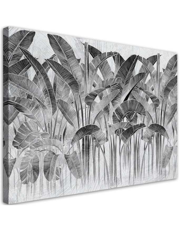 Modernes Wandbild - Bananenblätter Grau Pflanzen | Feeby