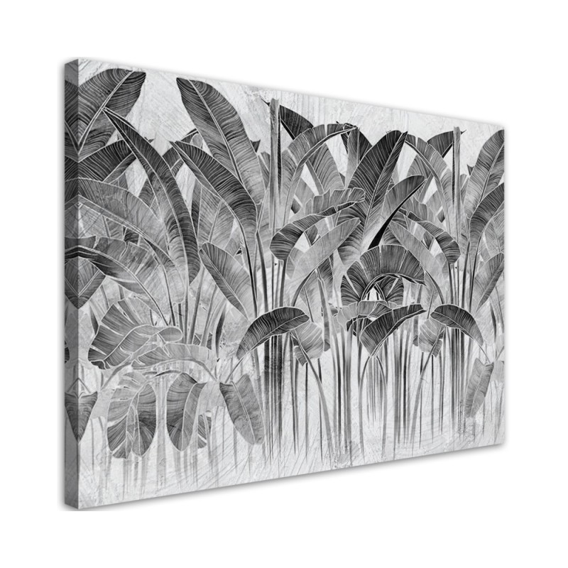 Modernes Wandbild - Bananenblätter Grau Pflanzen | Feeby