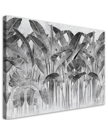 Modernes Wandbild - Bananenblätter Grau Pflanzen | Feeby