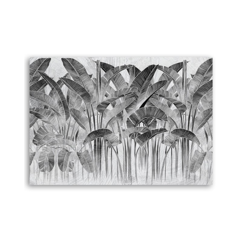 Modernes Wandbild - Bananenblätter Grau Pflanzen | Feeby
