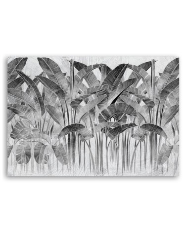 Modernes Wandbild - Bananenblätter Grau Pflanzen | Feeby