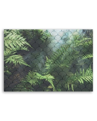 Wandbild für Wohnzimmer - Farnblätter | Feeby