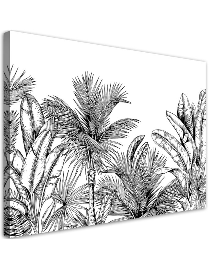 Leinwandbild modern - Palmen Blätter Grau Pflanzen | Feeby