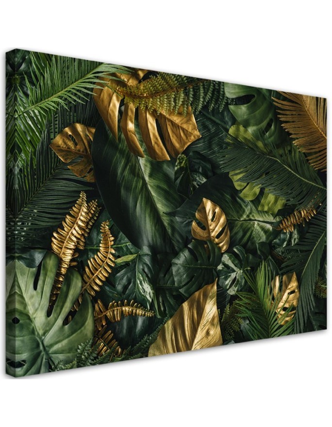 Leinwandbild - Tropische Monstera Blätter Pflanzen | Feeby