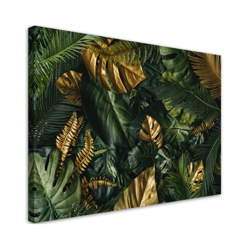 Leinwandbild - Tropische Monstera Blätter Pflanzen | Feeby