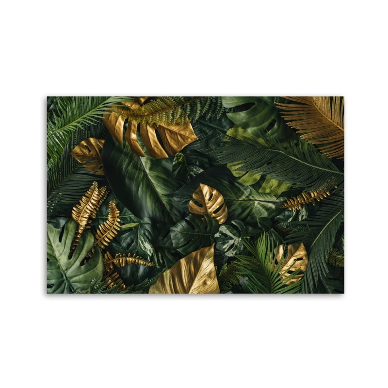 Leinwandbild - Tropische Monstera Blätter Pflanzen | Feeby