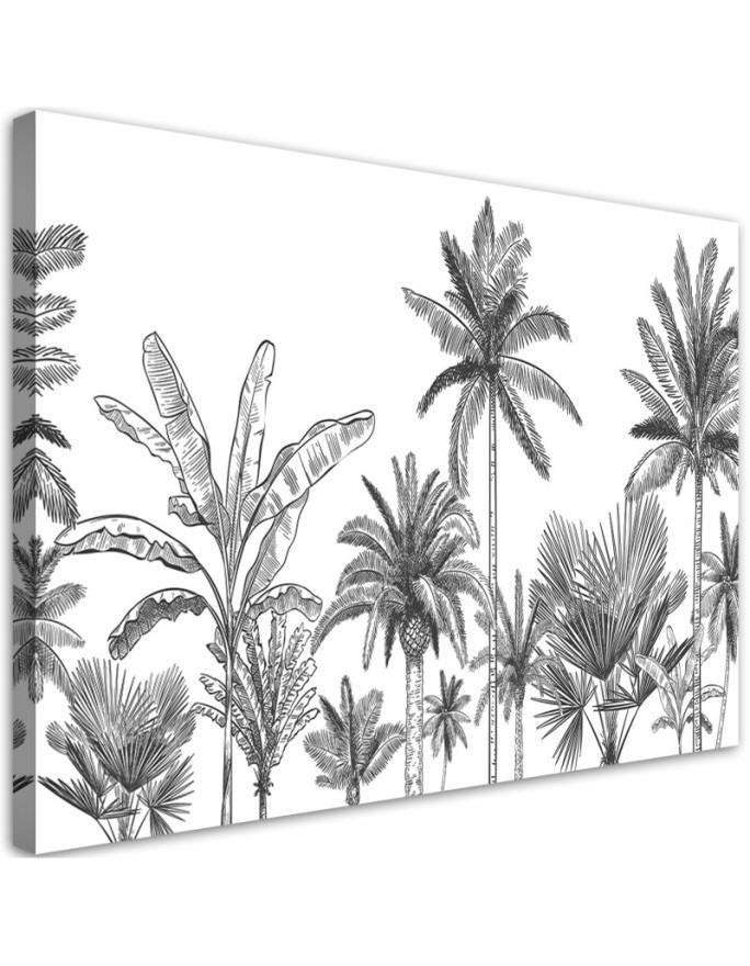 Bild auf Leinwand - Schwarze und weiße Palmen | Feeby
