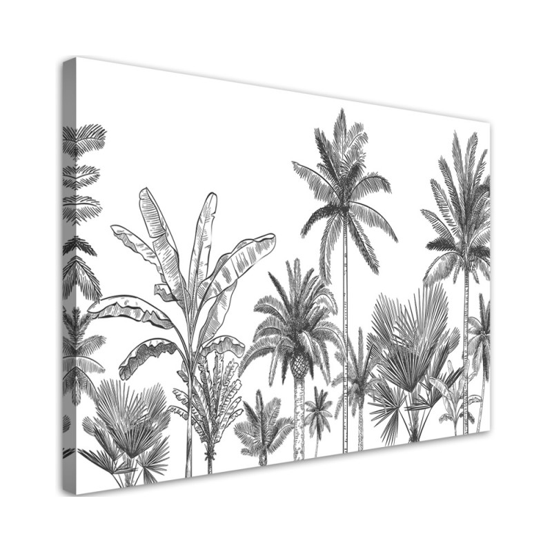 Bild auf Leinwand - Schwarze und weiße Palmen | Feeby