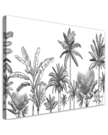 Bild auf Leinwand - Schwarze und weiße Palmen | Feeby