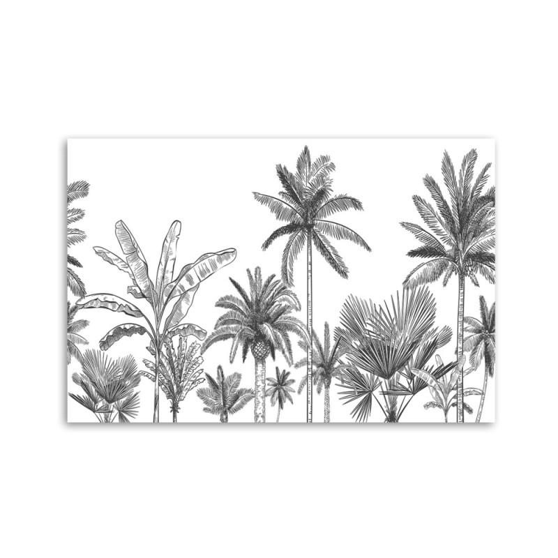 Bild auf Leinwand - Schwarze und weiße Palmen | Feeby