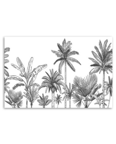 Bild auf Leinwand - Schwarze und weiße Palmen | Feeby