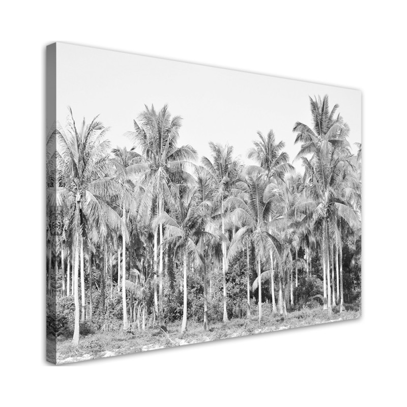 Leinwandbild - Palmen im Dschungel Grau | Feeby