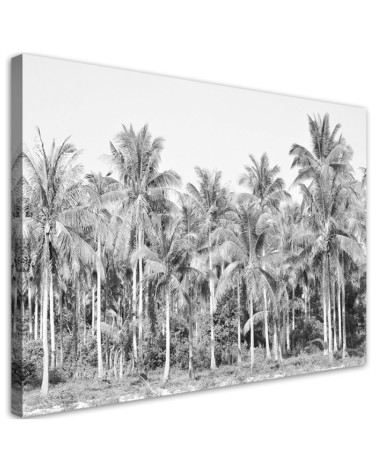 Leinwandbild - Palmen im Dschungel Grau | Feeby
